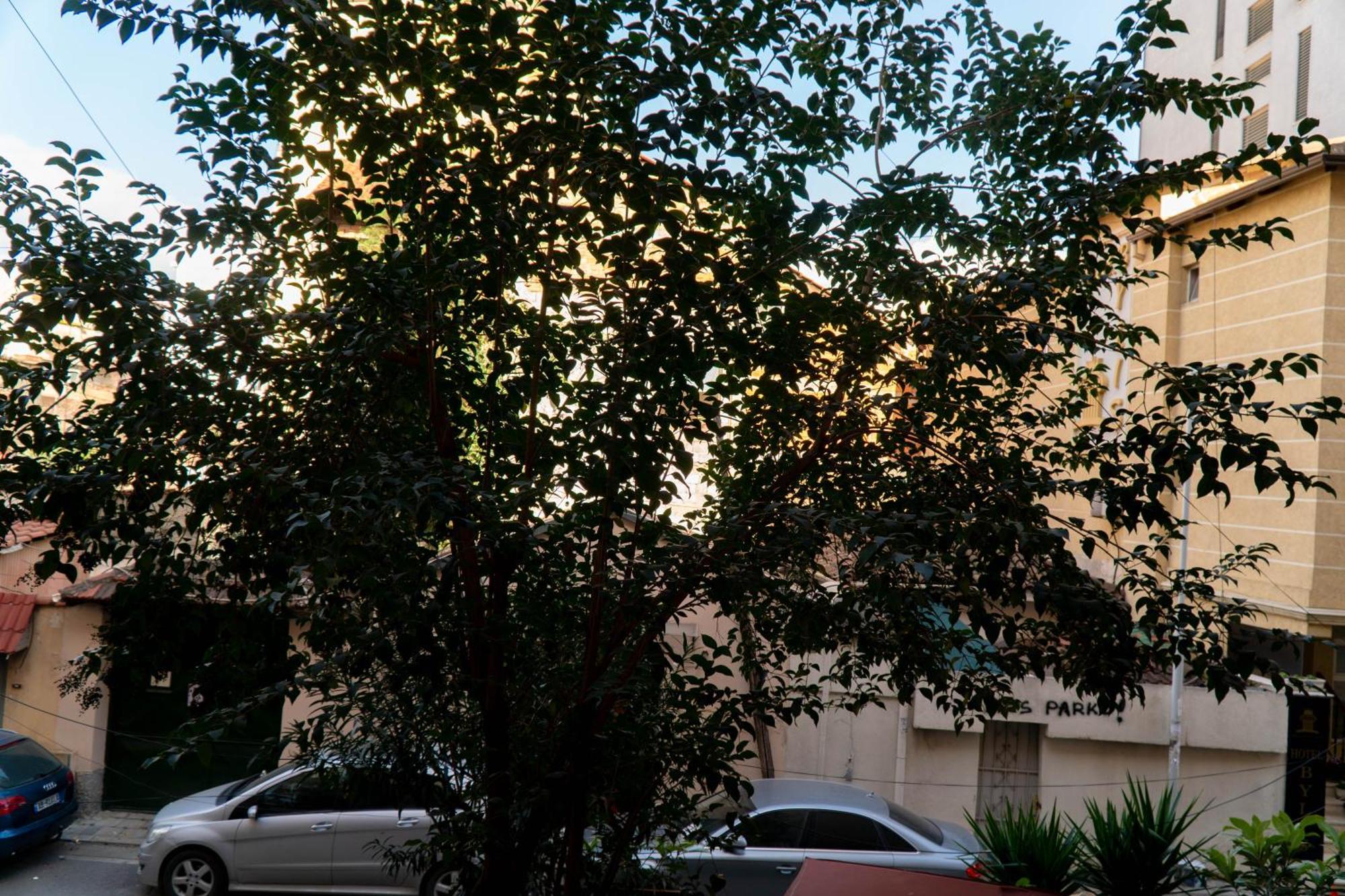 Signature Apartment 8 Tiran Dış mekan fotoğraf